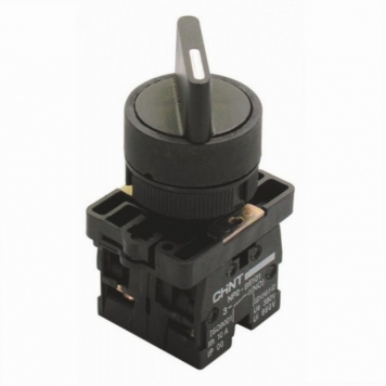 Переключатель NP2-ED25, 2 положения фиксацией, 1НО+1НЗ, IP40 (R)
