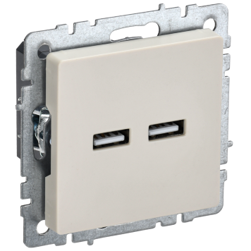 BRITE Роз. USB A+A 3,1А РЮ10-1-БрКр беж. IEK