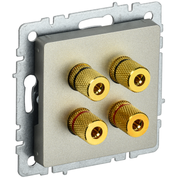 BRITE Аудиорозетка 4-мест. РА10-БрШ шамп. IEK