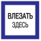 Самоклеящаяся этикетка: 150х150мм 