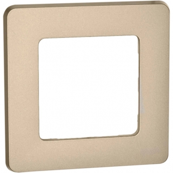 INSPIRIA Рамка 1-мест. шамп.
