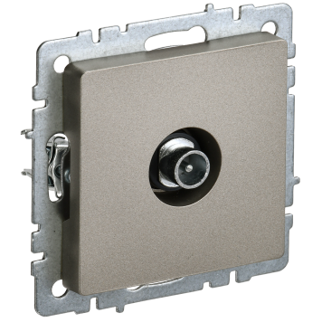 BRITE Роз. TV проходная РТВ10-0-БрШ шамп. IEK