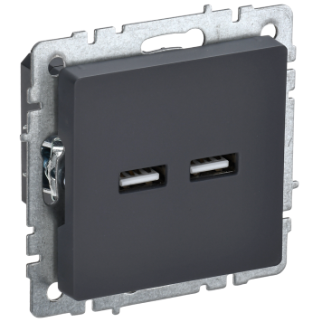 BRITE Роз. USB A+A 3,1А РЮ10-1-БрГ граф. IEK