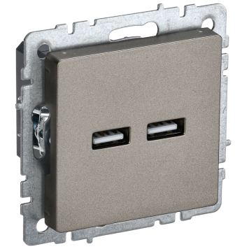 BRITE Роз. USB A+A 3,1А РЮ10-1-БрШ шамп. IEK