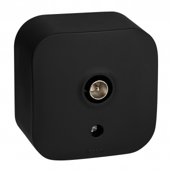 QUTEO Роз. TV тип звезда о/у чёрн. м.