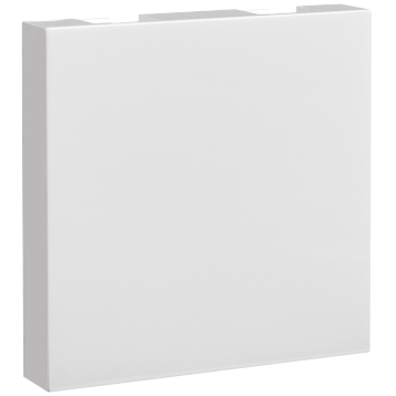 Заглушка (2 мод.) белая