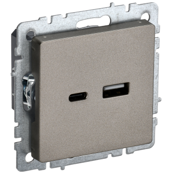 BRITE Роз. USB A+C 18Вт РЮ11-1-БрШ шамп. IEK