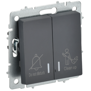 BRITE Выключ. 2-кл. с инд. отел. 10А ВС10-2-9-БрГ граф. IEK