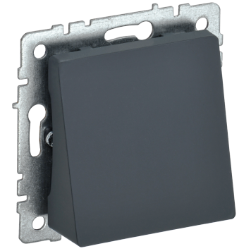 BRITE Вывод кабеля МВ10-БрГ граф. IEK