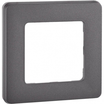 INSPIRIA Рамка 1-мест. дымч.