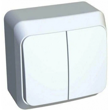 ДВУХКЛАВИШНЫЙ ВЫКЛЮЧ. С ПОДСВ. (СХ.5) BA10-006B